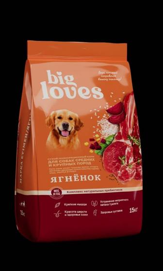 Корм для собак и кошек