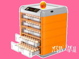 Инкубатор для здорового молодняка без брака