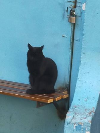 Расклейка объявлений ваших в городе