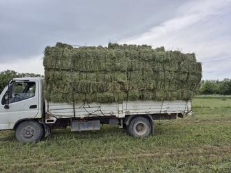 Вывоз строительного мусора доставка
