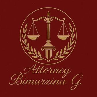 Опытный адвокат, экс-судья