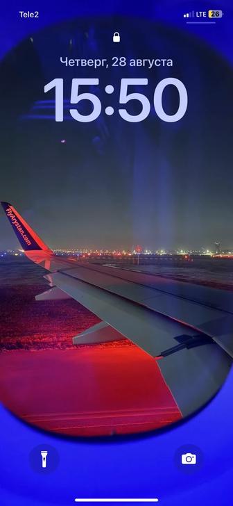 трезвый водитель