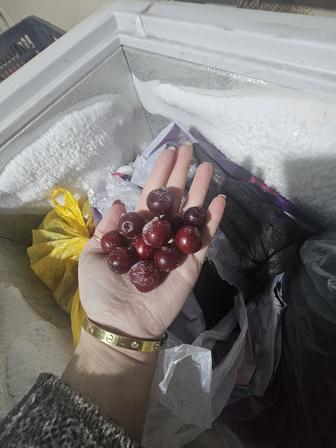 Вишня замороженная