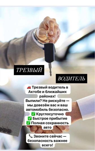 Трезвый водитель
