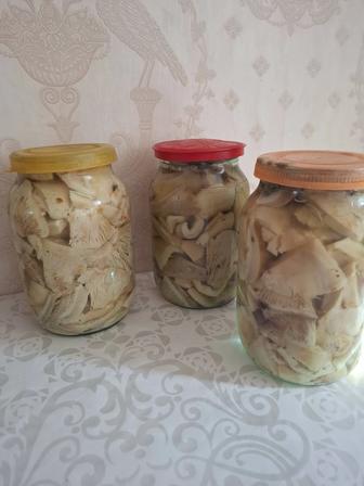 Продаются грузди соленые.