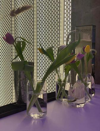 Световая вертикальная инсталляция всего 25 м (5 шт., ширина 40 см, по 5 м)