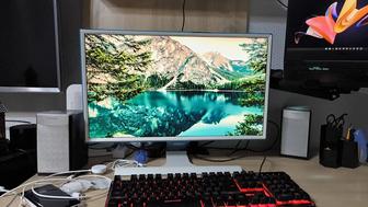 Монитор Samsung S24E391HL