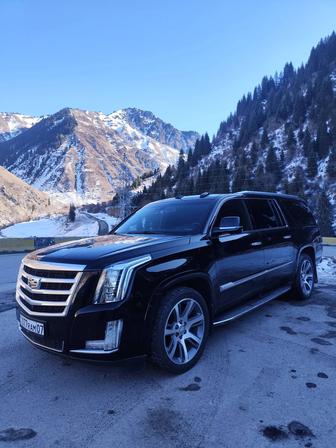 Авто в аренду с водителем