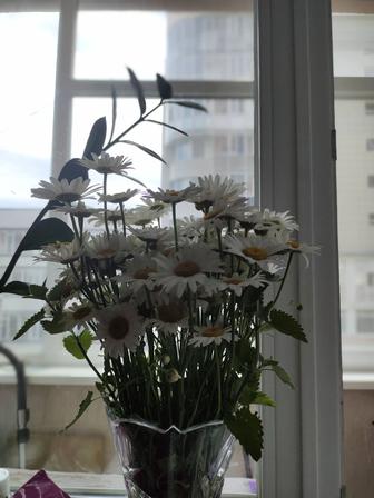 Няня у себя на дому