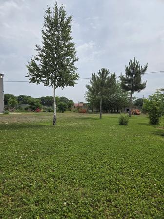 Укладка и посев газона, на склонах и прямых участках.
