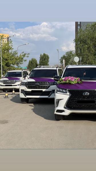 Аренда VIP авто