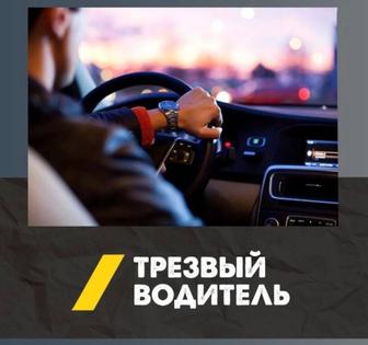 Трезвый водитель