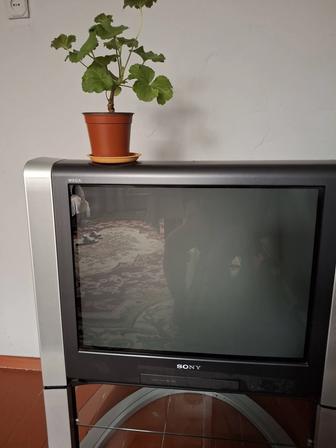 Продам телевизор Sony Vega с родной подставкой