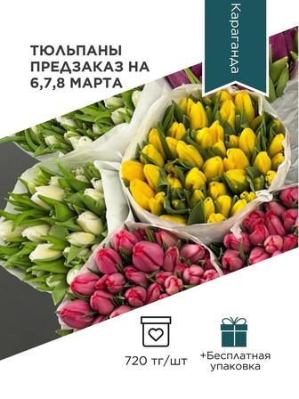 Голландские тюльпаны