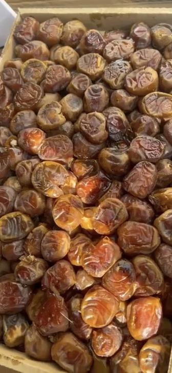 финики все виды