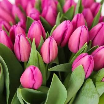 Продаются тюльпаны 400 тг за штуку берём заказы наперёд производим доставку