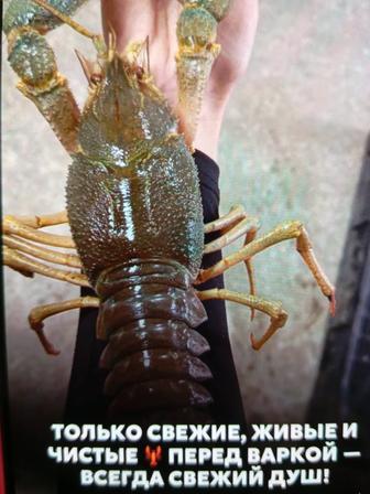 Морепродукты на заказ, раки, креветки