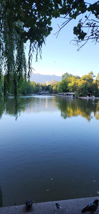 Электромонтажные работы