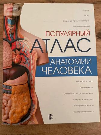 Продаю книгу Атлас Анатомии человека