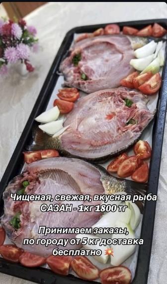 Рыба