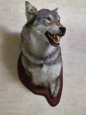 Скульптура волк.
