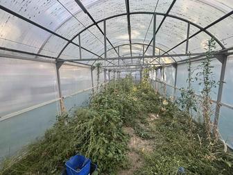 Теплицы