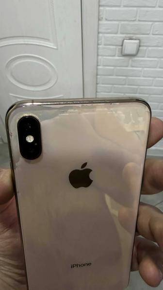 Xs max 256 gold
