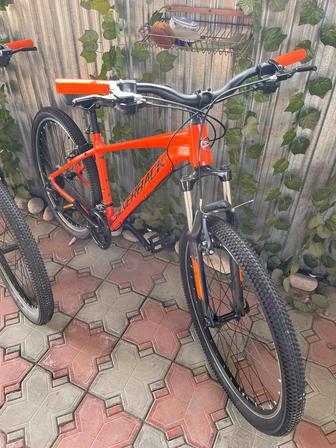 Два Велосипеда SILVERBACK Stride SE 2020