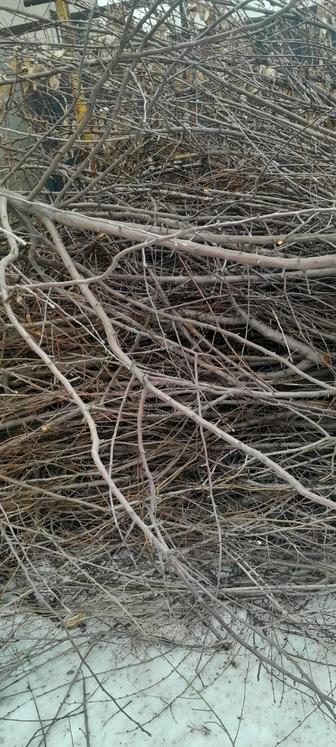 Дрова и ветки для шашлыка