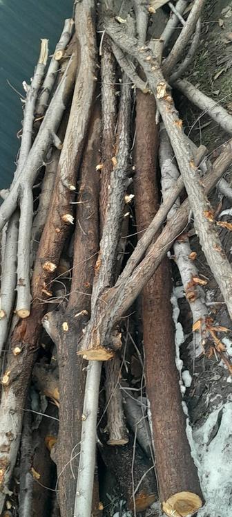 Дрова и ветки для шашлыка