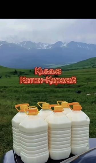 Продам кымыз из Восточного Казахстана