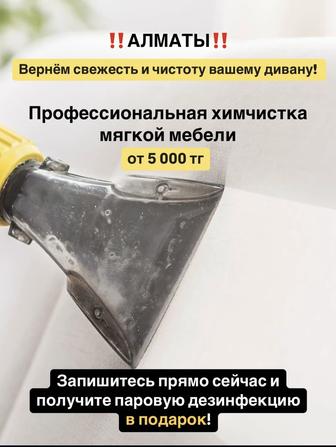 Delikat Химчистка Мягкой Мебели