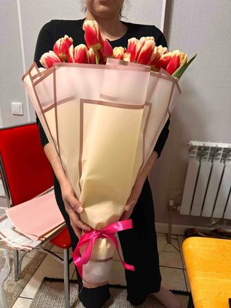 Шикарный голландский тюльпаны высокие