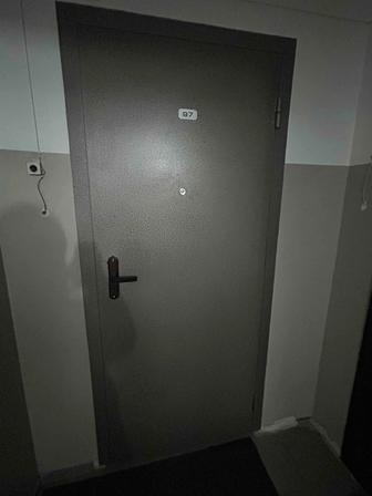 Срочно продам входную железную дверь