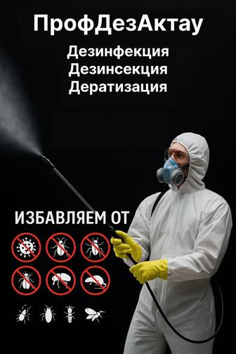 Дезинсекция,Дезинфекция,Дератизация