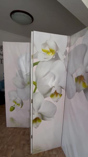 Продам ширму