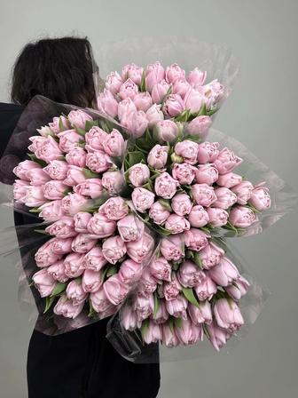 Тюльпаны оптом