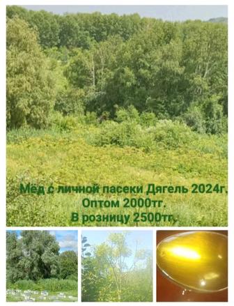 Мёд с личной пасеки.