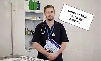 Ветеринарный врач на дом