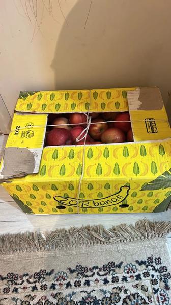 Продам яблоко