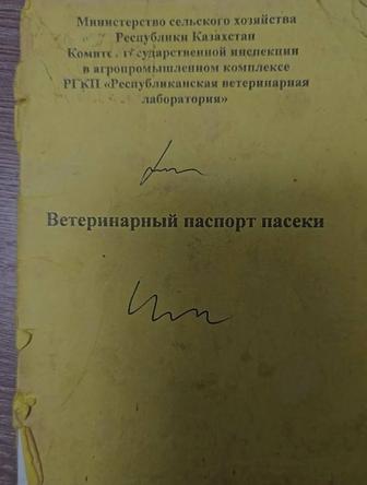 Мёд продам оптом и в розницу