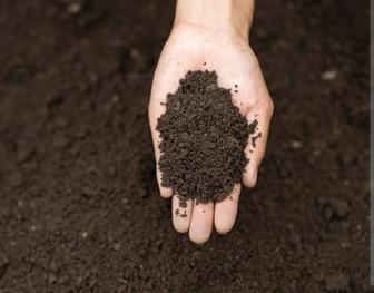 Биогумус, теплицы, удобрение для сада