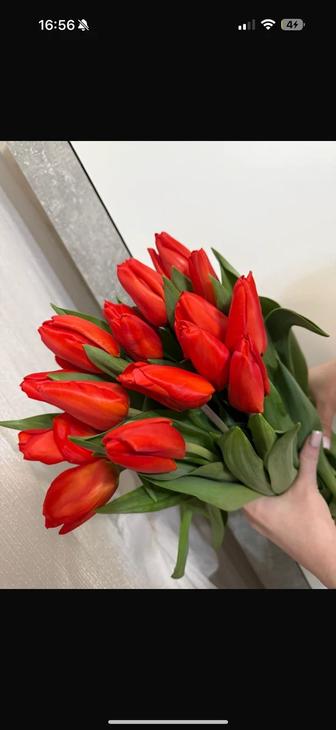 Тюльпаны к 8 марта