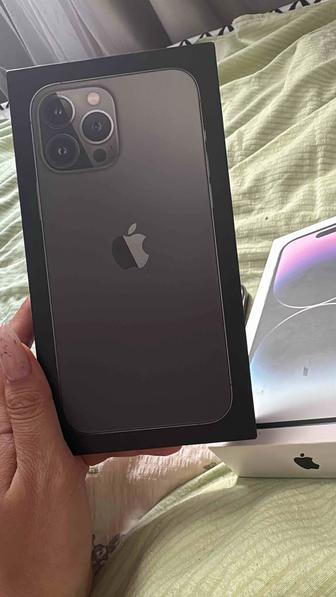 13 про max 256 память