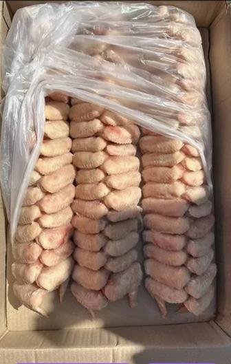 Халяль крылышки от поставщика