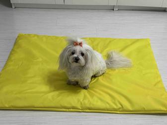 Лежак для большой собаки 100 х 70 ( водоотталкивающая ткань)