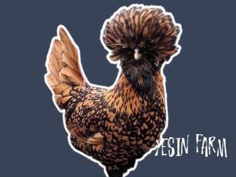 Породные куры инкубационные яйца для инкубатора