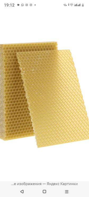 Вощина, основа для постройки пчелинных сот