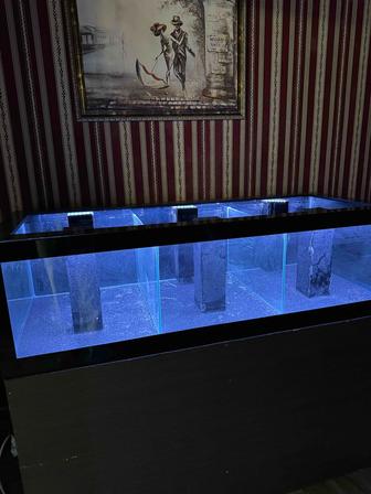 Аквариум витрина для морепродуктов так же Устриц