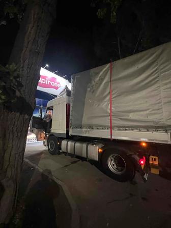 Трезвый водитель